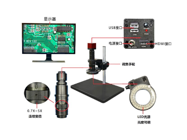 广西一体视频显微镜用途 苏州乐瞳仪器供应