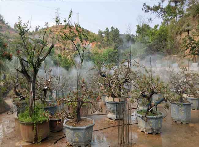 福州水肥一体化设备-福州雨顺灌溉设备厂家-龙岩水肥一体化设备