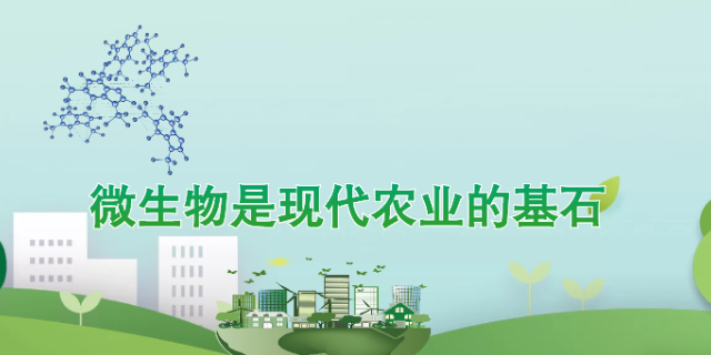 银川生物肥料生产厂家 值得信赖 宁夏五丰农业科技供应