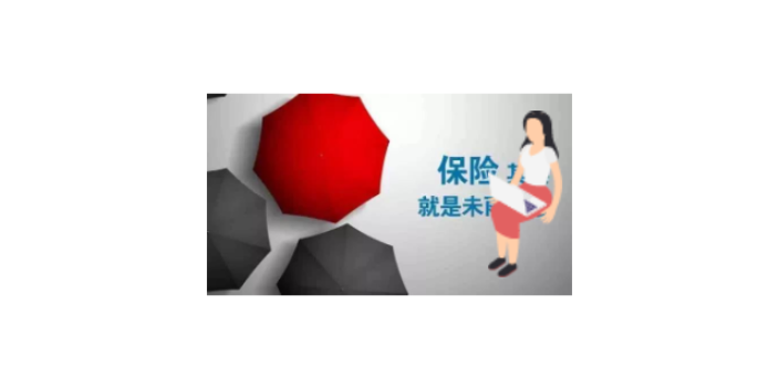 长沙个人全额退保三方公司 服务至上 湖南犇磊法律咨询供应