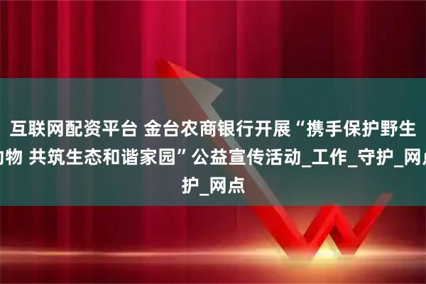 互联网配资平台 金台农商银行开展“携手保护野生动物 共筑生态和谐家园”公益宣传活动_工作_守护_网点