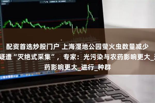 配资首选炒股门户 上海湿地公园萤火虫数量减少，网友质疑遭“灭绝式采集”，专家：光污染与农药影响更大_进行_种群
