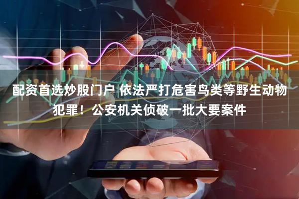 配资首选炒股门户 依法严打危害鸟类等野生动物犯罪！公安机关侦破一批大要案件