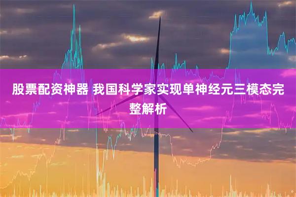 股票配资神器 我国科学家实现单神经元三模态完整解析